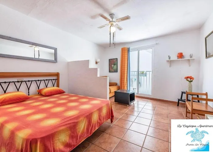 La Caytispa * Puerto De Mogan